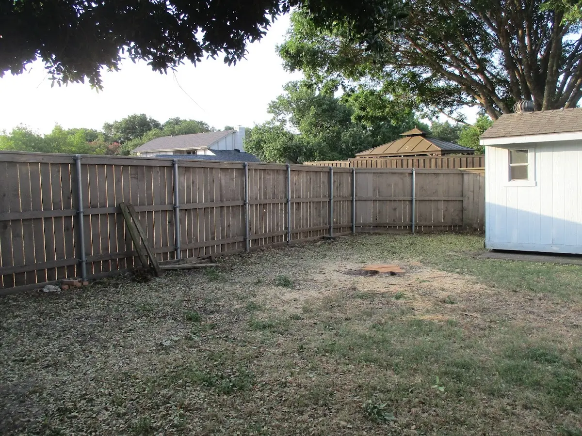 Cleared yard after professional tree removal in Gold Beach